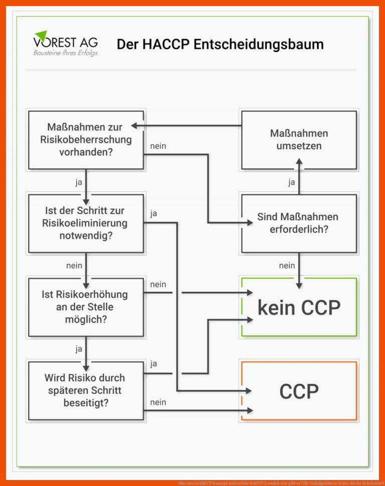 Was ist ein HACCP Konzept und welche HACCP GrundsÃ¤tze gibt es? für unfallgefahren in der küche arbeitsblatt