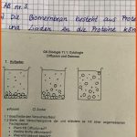 Was Passiert Bei Diesem Versuchsaufbau? (schule, Chemie, Biologie) Fuer Diffusion Und Osmose Arbeitsblatt