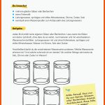 Wasserschule Mittelfranken â Wasser Erleben â Nachhaltigkeit Lernen Fuer Richtig Spülen Arbeitsblatt
