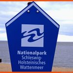 Wattenmeer: Watt In Gefahr? - nordsee - Kultur - Planet Wissen Fuer Küstenschutz nordsee Arbeitsblatt
