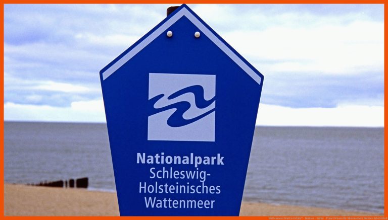 Wattenmeer: Watt in Gefahr? - Nordsee - Kultur - Planet Wissen für küstenschutz nordsee arbeitsblatt