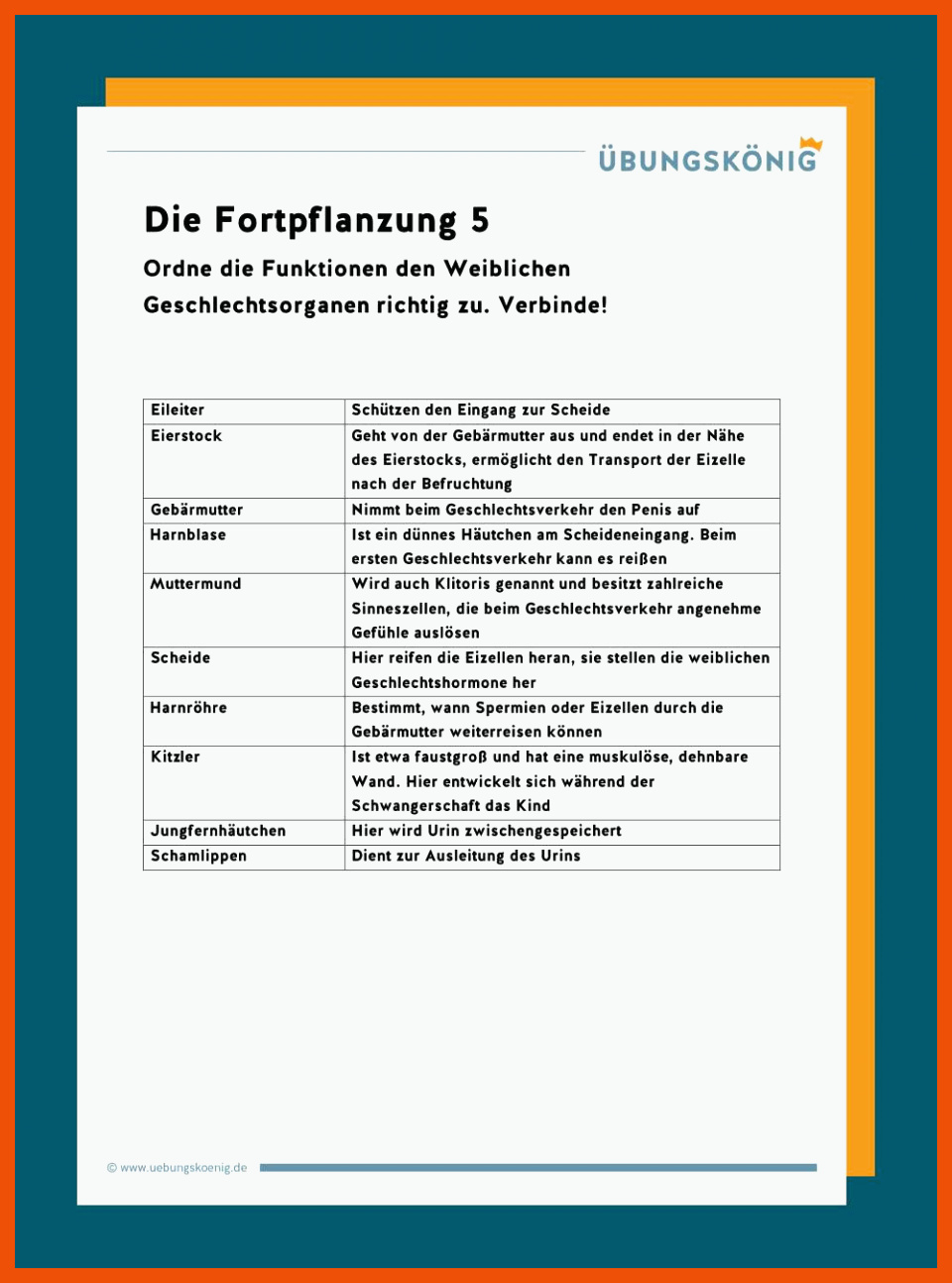 Die Weiblichen Geschlechtsorgane Arbeitsblatt Lösungen Klett Weibliche Geschlechtsorgane Arbeitsblatt Klett - Biologie Arbeitsblätter