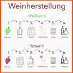 Weinherstellung ErklÃ¤rt - Wie Wird Wein Hergestellt? Fuer Von Der Traube Zum Wein Arbeitsblatt