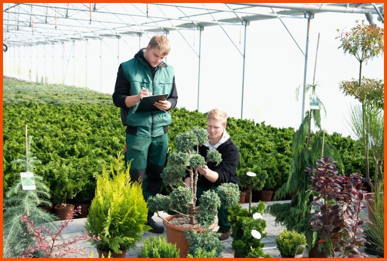Werker/Werkerin im Gartenbau - PrÃ¼fung: Pflanzenlisten zur ... für arbeitsblätter garten und landschaftsbau pdf