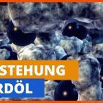 Wie Entsteht ErdÃ¶l? - Multitalent ErdÃ¶l Planet Schule Fuer Erdöl Entstehung Arbeitsblatt