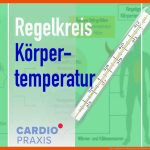 Wie Reguliert Der Mensch Seine KÃ¶rpertemperatur? Fuer Regelkreis Körpertemperatur Arbeitsblatt