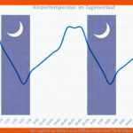 Wie Reguliert Der Mensch Seine KÃ¶rpertemperatur? Fuer Regelkreis Körpertemperatur Arbeitsblatt