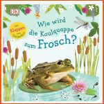 Wie Wird Die Kaulquappe Zum Frosch?: Mit Klappen Zum Entdecken ... Fuer Von Der Kaulquappe Zum Frosch Arbeitsblatt