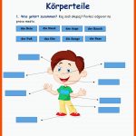 Wiederholung: Die KÃ¶rperteile Worksheet Fuer Deutsch Als Zweitsprache Arbeitsblätter Körperteile