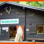 Wildparkdetektive - Landeshauptstadt DÃ¼sseldorf Fuer Gebiss Pflanzenfresser Fleischfresser Allesfresser Arbeitsblatt