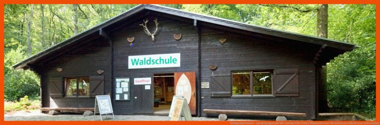 Wildparkdetektive - Landeshauptstadt DÃ¼sseldorf für gebiss pflanzenfresser fleischfresser allesfresser arbeitsblatt