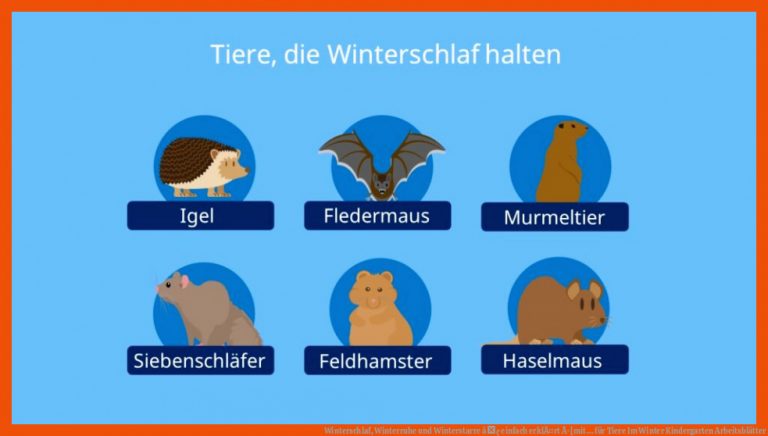 Winterschlaf, Winterruhe und Winterstarre â¢ einfach erklÃ¤rt Â· [mit ... für tiere im winter kindergarten arbeitsblätter