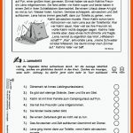 Wir Werden Leseprofi / Klasse 4 Fuer Sinnerfassendes Lesen Arbeitsblätter Klasse 4