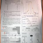 Wirkung Eines Abiotischen Ãkofaktors forum Biologie Fuer Synapsengifte Arbeitsblatt