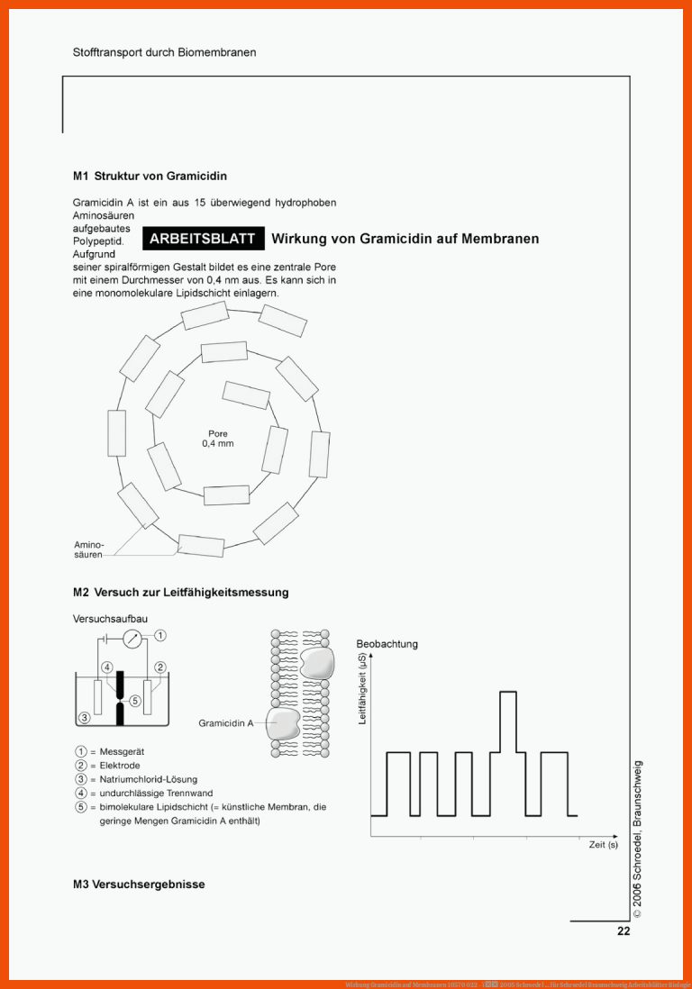 Wirkung Gramicidin auf Membranen 10570 022 - ï 2005 Schroedel ... für schroedel braunschweig arbeitsblätter biologie