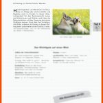 Wissenswertes Ã¼ber Hund Und Wolf Raabits Online Fuer Arbeitsblatt Hund Klasse 5