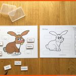Wortschatzsicherung - Spielend - Leicht - Lernen Fuer Der Hase Mit Der Roten Nase Arbeitsblatt
