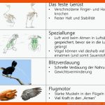 Wpu Angewandte Naturwissenschaften - Ppt Herunterladen Fuer atmung Vögel Arbeitsblatt