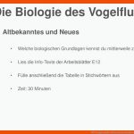 Wpu Angewandte Naturwissenschaften - Ppt Herunterladen Fuer Vogelflug Arbeitsblatt