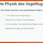 Wpu Angewandte Naturwissenschaften - Ppt Herunterladen Fuer Warum Können Vögel Fliegen Arbeitsblatt