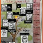 Z 5a: Plakatvorlage - Mensch-stammbaum â Biologiedidaktik Fuer Stammbaum Des Menschen Arbeitsblatt