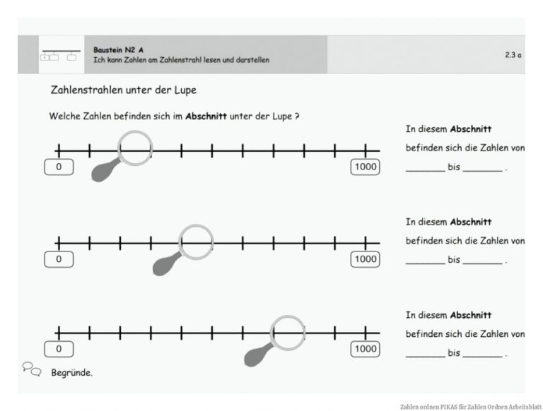 Zahlen ordnen | PIKAS für Zahlen ordnen Arbeitsblatt