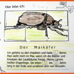 Zahlenland In Der Grundschule - Zahlenland Prof. PreiÃ Fuer Insekten Arbeitsblatt Pdf