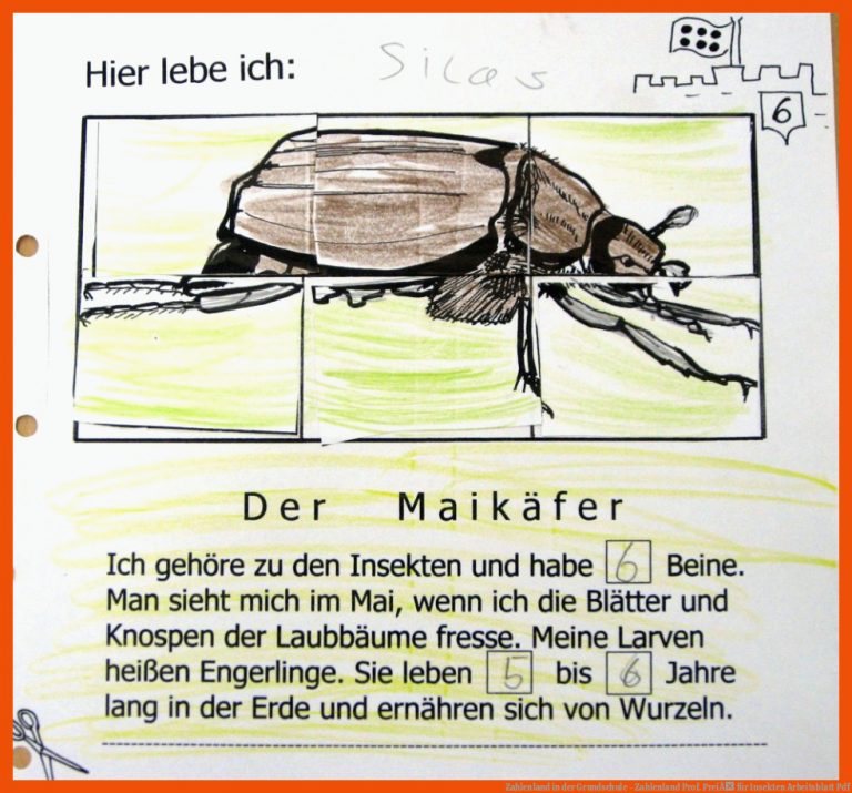 Zahlenland in der Grundschule - Zahlenland Prof. PreiÃ für insekten arbeitsblatt pdf