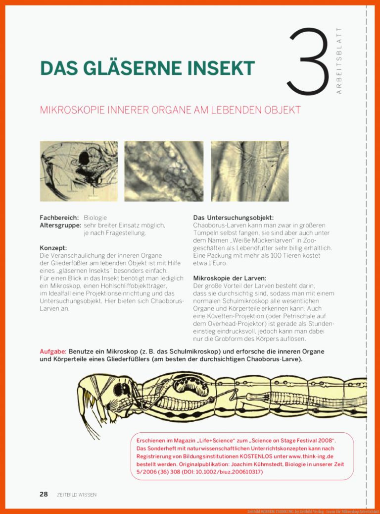 Zeitbild WISSEN: THINK ING. by Zeitbild Verlag - Issuu für mikroskop arbeitsblatt
