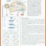 Zellatmung/ atp? (schule, Biologie, Abitur) Fuer Stoffwechselwege Im überblick Arbeitsblatt