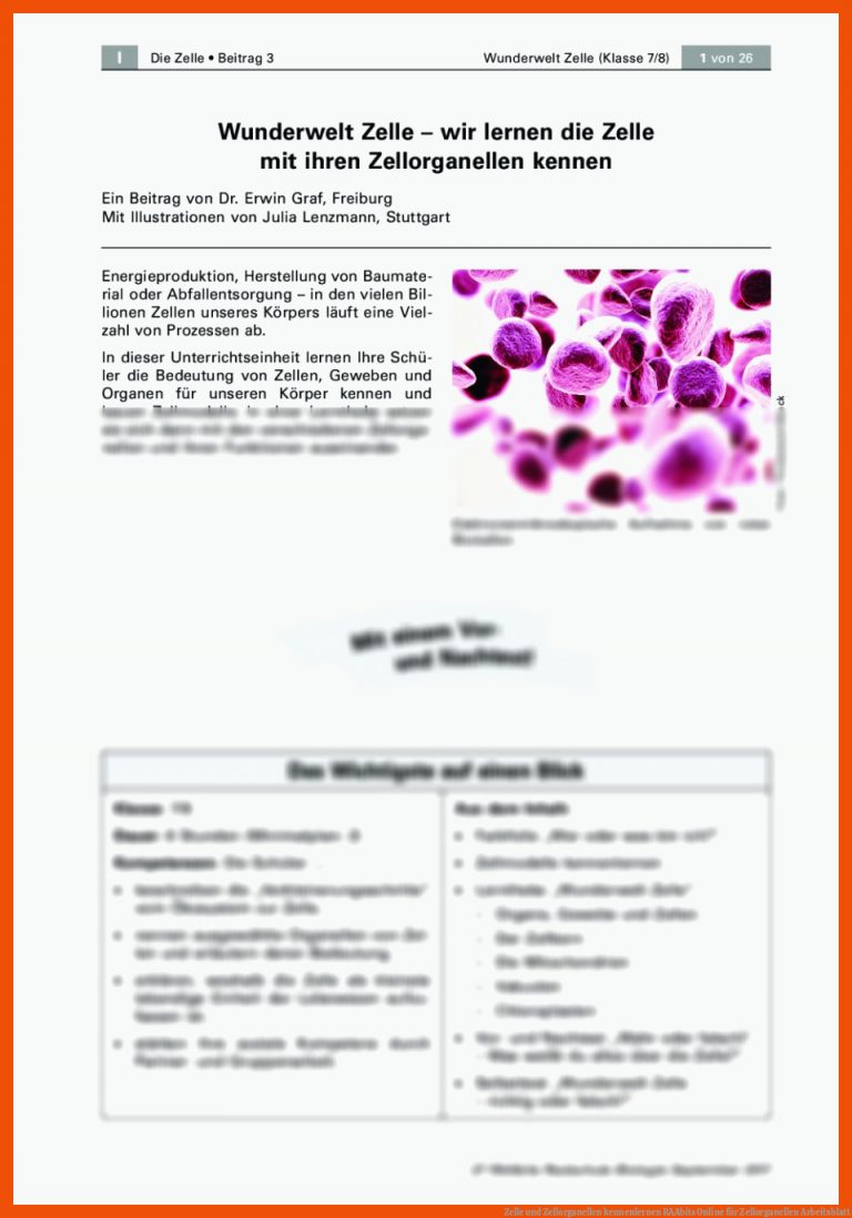 Zelle und Zellorganellen kennenlernen | RAAbits Online für zellorganellen arbeitsblatt