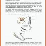 Zelle-zellkern-chromosom-chromatid-dna - Docsity Fuer Aufbau Eines Chromosoms Arbeitsblatt Lösungen