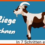 Ziege Zeichnen Lernen - In Nur 7 Einfachen Schritten! Fuer Gebiss Rind Arbeitsblatt