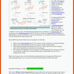 Zusammenfassung Gentechnik Experimente - Zusammenfassung ... Fuer Avery Experiment Arbeitsblatt