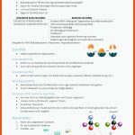 Zusammenfassung - Vorlesung: Enzyme - Enzyme Definition ... Fuer Schematisierte Enzymreaktionen Arbeitsblatt Lösungen
