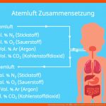 Zusammensetzung Luft â¢ Einfach ErklÃ¤rt: Luft Bestandteile Â· [mit ... Fuer Zusammensetzung Luft Arbeitsblatt