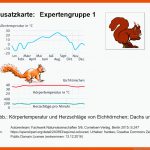 Zusatzkarten Fuer Arbeitsblatt Eichhörnchen Beschriften